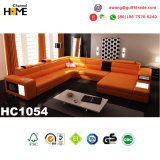 Chinese Living Room Furniture Leisure Leather Sofa for Home Furniture (HC1054)