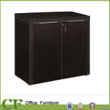 Office Room Low Storage Filing Cabinet