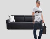 Popular Fashion Sofa Bed