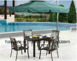 Outdoor /Rattan / Garden / Patio/ Hotel Furniture Cast Aluminum Chair & Table Set (HS1186C &HS 7310DT)