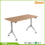 Newest Product Modern Learning Desk