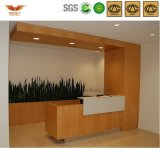 Modern Office Furniture Reception Desk (HY-Q18)