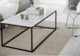 Sample Coffee Table Modern Design Metal Table