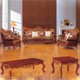 Italian Leather Sofa for Living Room Furniture (YF-309)