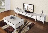 High Gloss Stainless Steel Coffee Table (CJ-193A)