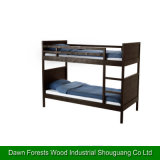 Bunk Bed for Students Using