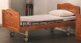 Family Two Function Electric Bed (F-1)