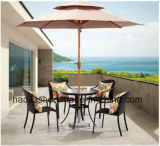 Outdoor /Rattan / Garden / Patio / Hotel Furniture Rattan Chair &Table Set (HS1001C&HS6076DT)