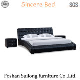 Modern Style Leather Bed