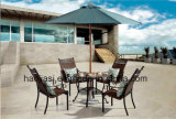 Outdoor /Rattan / Garden / Patio / Hotel Furniture Rattan Chair &Table Set (HS 1103C&HS 7603DT)