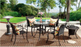 Outdoor /Rattan / Garden / Patio / Hotel Furniture Rattan Chair & Table Set (HS 1025C&HS6080BDT)