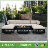 Outdoor Rattan/Wicker Sofa Garden Leisure Furniture